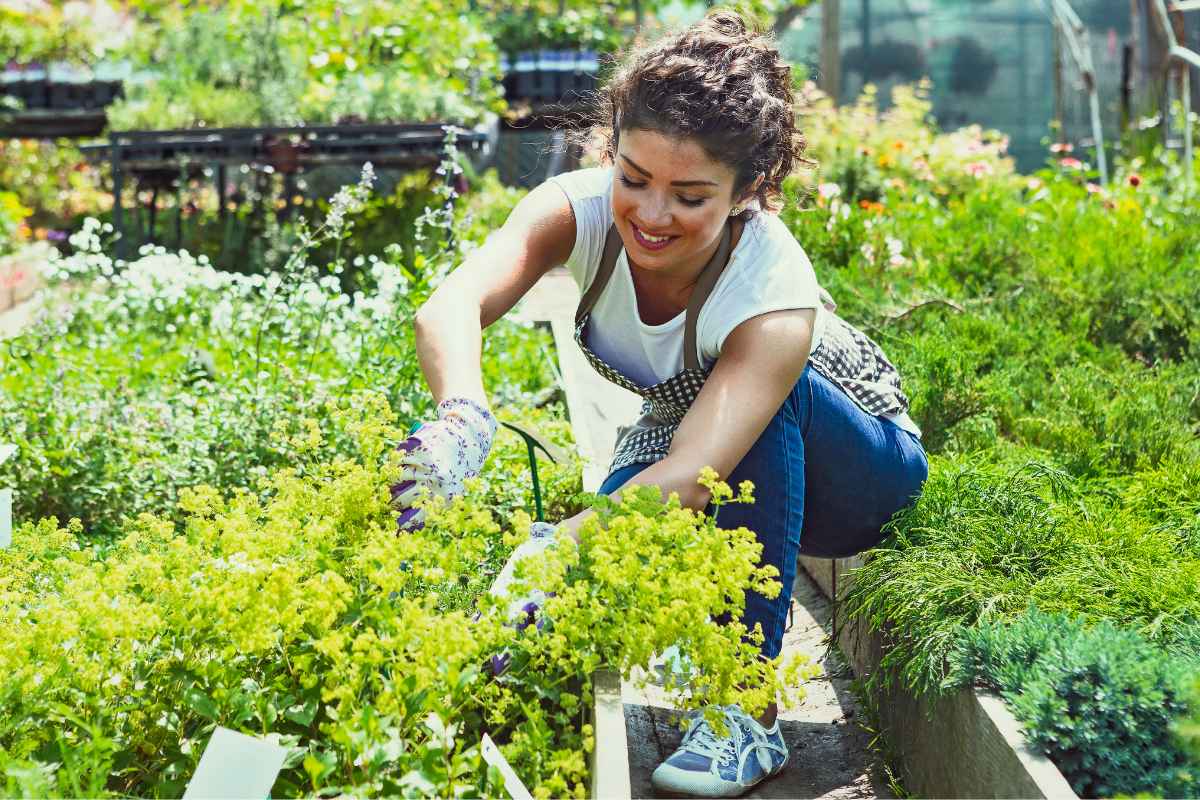 Jardinagem: Cultivar pode reduzir o estresse e a ansiedade