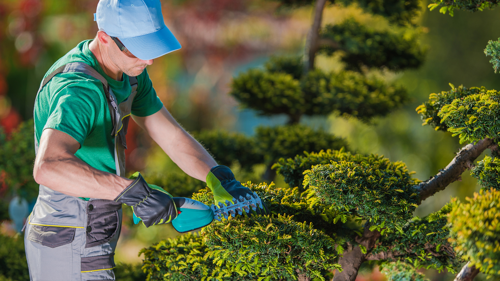 Como as Avaliações do Google Podem Impulsionar o Seu Negócio de Jardinagem